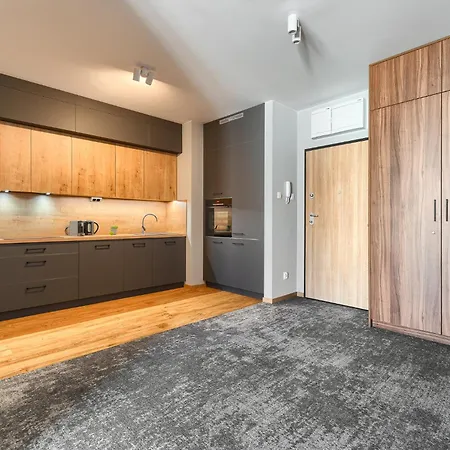 Park Apartment Old Town By Noclegi Renters Szczecin Exterior photo